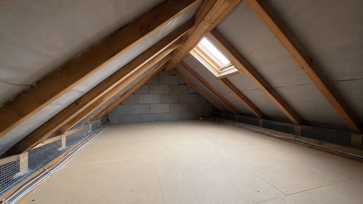 Rodent Proofing in Bournemouth